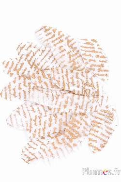 Blütenblätter aus Federn - Mr Darcy’s Letter - 6-8 x 3-4 cm- weiss-gold